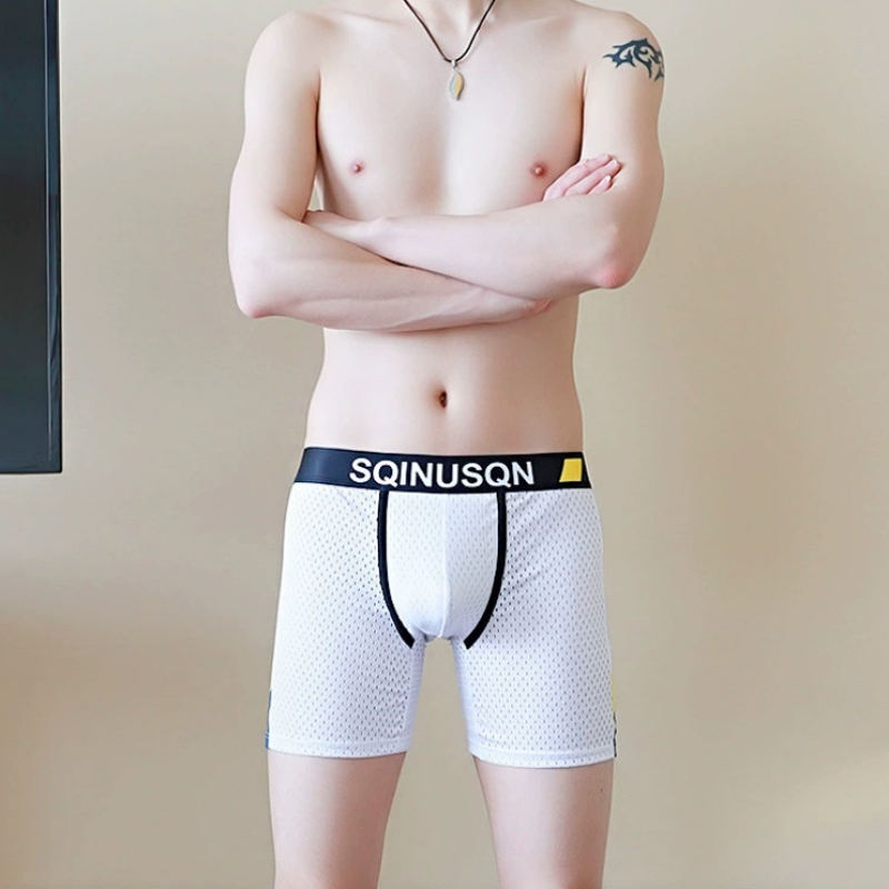 メンズアイスシルクメッシュボクサーブリーフ M-3XL 通気 - Mesh Sport Boxer のレビューと価格